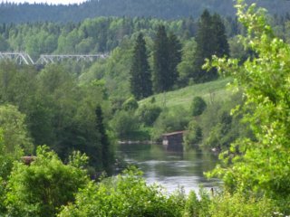 img_0541.jpg